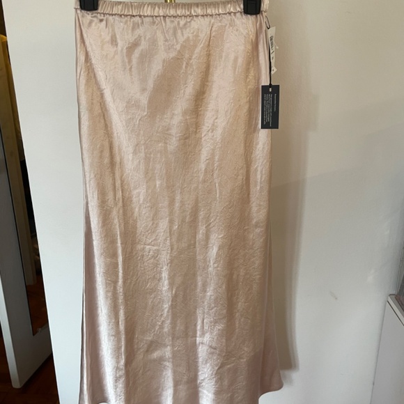 Aritzia silk skirt - Picture 4 of 5